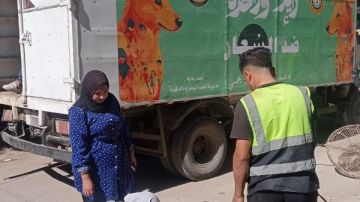 الدقهلية.. حملات بالمناطق الأكثر تعرضا لانتشار الكلاب الضالة للحد من مخاطرها