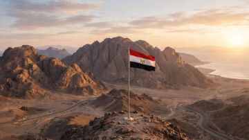 أستاذ نقل يكشف عن المنظومة المتكاملة للتنمية المجتمعية في سيناء أستاذ نقل يكشف عن المنظومة المتكاملة للتنمية المجتمعية في سيناء