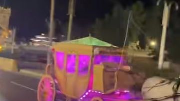 حصان يهرب خلال زفاف عروسين والمعازيم يحاولون السيطرة عليه.. فيديو حصان يهرب خلال زفاف عروسين والمعازيم يحاولون السيطرة عليه.. فيديو