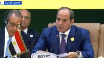 النص الكامل لكلمة الرئيس السيسي خلال قمة الدول المؤسسة لـ أودا - نيباد 