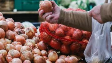 25 جنيها.. أسباب ارتفاع أسعار البصل وموعد انخفاضها 25 جنيها.. أسباب ارتفاع أسعار البصل وموعد انخفاضها