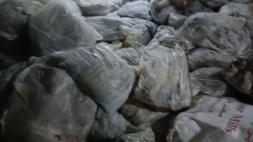 ضبط 13 طنا من اللحوم والمنتجات الحيوانية غير الصالحة للاستهلاك بالجيزة ضبط 13 طنا من اللحوم والمنتجات الحيوانية غير الصالحة للاستهلاك بالجيزة