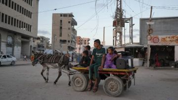 ارتفاع جنوني لأسعار الحمير في غزة .. من 1000 دولار إلى 30 ألفا ارتفاع جنوني لأسعار الحمير في غزة .. من 1000 دولار إلى 30 ألفا