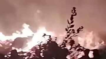 حريق هائل يلتهم أرضا زراعية بمركز سنهور في الفيوم حريق هائل يلتهم أرضا زراعية بمركز سنهور في الفيوم