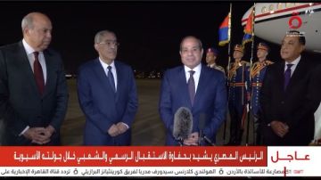 الرئيس السيسي يعود إلى أرض الوطن بعد جولته الآسيوية