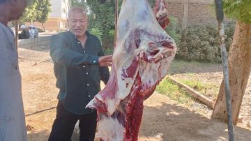 تموين الأقصر يحرر 660 محضرا خلال سبتمبر.. ضبط طن سلع منتهية الصلاحية و2 طن بدون فواتير و12 طن دقيق بمستودعات تموين الأقصر يحرر 660 محضرا خلال سبتمبر.. ضبط طن سلع منتهية الصلاحية و2 طن بدون فواتير و12 طن دقيق بمستودعات