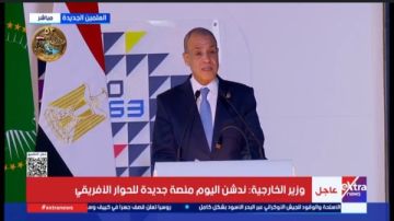 وزير الخارجية: التكامل الاقتصادي بين الدول الأفريقية لا يبنى بقرارات شخص وزير الخارجية: التكامل الاقتصادي بين الدول الأفريقية لا يبنى بقرارات شخص