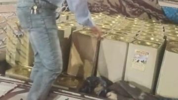 ضبط طن جبنة غير صالحة للاستهلاك الآدمي داخل سيارة ربع نقل بساحل سليم في أسيوط ضبط طن جبنة غير صالحة للاستهلاك الآدمي داخل سيارة ربع نقل بساحل سليم في أسيوط