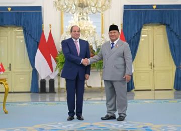 تفاصيل لقاء الرئيس السيسي ونظيره الإندونيسي تفاصيل لقاء الرئيس السيسي ونظيره الإندونيسي