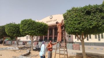 حقيقة ما تم تداوله بشأن قطع الأشجار بمحيط ميدان عرابي في الإسماعيلية