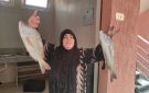 إقبال على أول حلقة سمك بجنوب سيناء.. الباغة تخطف الأنظار بالطور.. والأسعار تبدأ من 35 جنيها