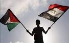 اللجنة المصرية بغزة: مصر جهزت أكثر من 20 مدرسة وأسهمت في عودة 36 ألف طالب للدراسة