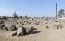 وزير السياحة والآثار ومحافظ الغربية يتفقدان معبد بهبيت الحجارة لدراسة سبل تطويره