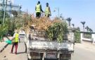 حملات النظافة في سفاجا ترفع 85 طنا من المخلفات.. تعرف على المناطق المستهدفة