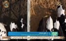 رئيس قطاع تنمية الثروة الحيوانية يكشف تفاصيل المشروع القومي للبتلو
