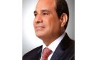 الرئيس السيسي يهنئ نظيره التركي بذكرى العيد القومي