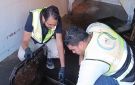الغربية: ضبط 16.5 طن زيت وملح غير صالح ومخالفات تصنيع وتخزين