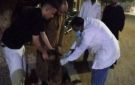 تحصين 27 كلبا خلال حملة بيطرية مكبرة بساقلتة في سوهاج .. صور