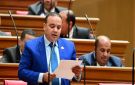 برلماني: انتشار الكلاب الضالة في الشوارع ظاهرة تستلزم تحرك جاد