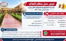 الهيئة القومية لسكك حديد مصر تعلن عن وظائف بنظام التعاقد بالمدرسة التكنولوجية التطبيقية للنقل
