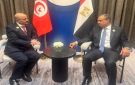 مصر وتونس تؤكدان تعزيز التعاون الاقتصادي وتكثيف التنسيق - eg