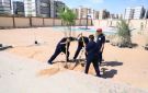 وزارة التنمية المحلية والبيئة تدعم مدرسة الكرنك بمدينة بدر بالقاهرة بـ150 شجرة.. واللجنة المركزية بالوزارة تتابع التكويد والرعاية لضمان استدامة الأشجار - eg