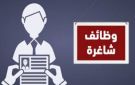 وظائف وزارة التضامن الاجتماعي 2026.. التخصصات المطلوبة ومواعيد التقديم