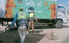 حملة مواجهة الكلاب الضالة بالدقهلية تصل طلخا - eg