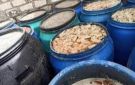 ضبط 900 كيلو مخللات مجهولة المصدر داخل مصنع بالغربية.. وهذه عقوبة الجريمة