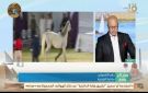 حازم الأشموني: مهرجان الخيول العربية يجسد عراقة التراث ويعزز السياحة بالشرقية