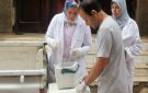 استجابة لشكاوى الأهالي.. محافظ الغربية يوجه بتكثيف حملات التوعية والتحصين ضد مرض السعار.. والطب البيطري تنجح في تحصين 610 كلاب حرة بالمجان - eg