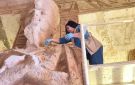 أخبار أسوان الاستعداد لتعامد الشمس.. إحكام السيطرة على المواد البترولية..وتطوير الطرق