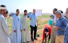 زراعة الأقصر تطلق أول مدرسة حقلية لمكافحة حافرة الطماطم بإسنا