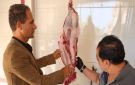 محافظ الغربية: ضبط 2.8 طن أغذية غير صالحة للاستهلاك الآدمي وتحرير 20 محضرا خلال حملات الطب البيطري استعدادا لمولد السيد البدوي
