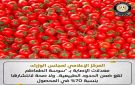 مجلس الوزراء: معدلات الإصابة بـ سوسة الطماطم ضمن الحدود الطبيعية