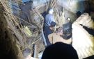 محافظ أسيوط ينعى 3 شقيقات ضحايا انهيار بمنزل بقرية الفيما
