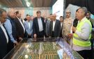 تنمية سيناء.. الزراعة تستعرض مشروعات دعم المزارعين وتحقيق التنمية المستدامة