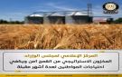  الوزراء : المخزون الاستراتيجي من القمح آمن.. ويكفي احتياجات المواطنين لعدة أشهر