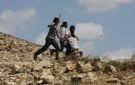 14 واقعة اعتداء على المزارعين الفلسطينيين وموسم الزيتون خلال يوم واحد في أربع محافظات