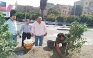 نائب محافظ القاهرة يتفقد أعمال التطوير الجارية في ميدان أبو وافيه بالشرابية