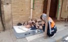 التضامن : التدخل السريع يستجيب لبلاغ وينقل مسنا بلا مأوى إلى دار للرعاية