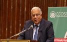 القومي لحقوق الإنسان: أكتوبر يجسد إرادة مصر في حماية أرضها وكرامتها - eg