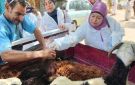 أسوان: قافلة بيطرية لتنمية الثروة الحيوانية بمنطقة النزل في الرديسية بحري