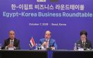 مصر وكوريا الجنوبية تصدران بيانا مشتركا بشأن إرساء شراكة استراتيجية بين البلدين