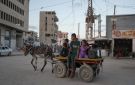 ارتفاع جنوني لأسعار الحمير في غزة .. من 1000 دولار إلى 30 ألفا