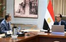 رئيس الوزراء يبحث مع الرقابة المالية مستجدات الأنشطة غير المصرفية وجهود إسهامها في الاقتصاد الوطني - eg