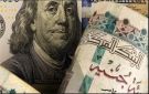 100 دولار بكام انهاردة؟.. أسعار العملة الأمريكية اليوم بعد قرار البنك المركزي - eg