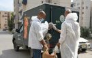 خلال جولته بالحي الإماراتي.. محافظ بورسعيد يتابع أعمال حملة جمع الكلاب الضالة