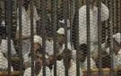 14 ديسمبر.. الحكم على 4 متهمين بقضية فض اعتصام النهضة - eg