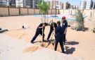 دعم مدرسة الكرنك بـ 150 شجرة ضمن مبادرة 100 مليون شجرة بمدينة بدر
